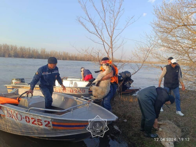 В Атырау пик паводков ожидается в начале мая