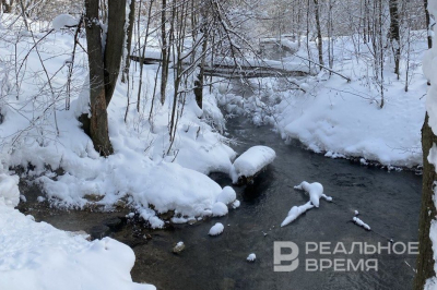 Два татарстанских эко-проекта получили президентские гранты почти на 24 млн рублей