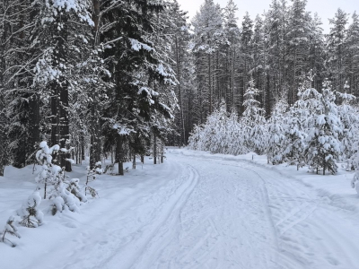 &laquo;Квест&raquo; для автомобилистов: из деревни Рудня Калужской области затруднен выезд из-за снега