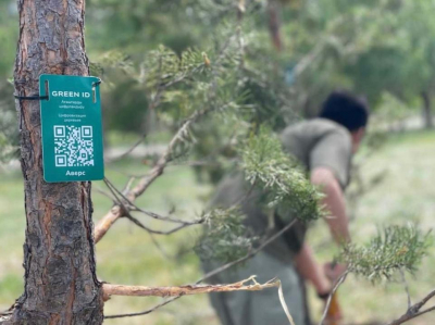 Жители Астаны поддержали акцию «Таза Қазақстан»: высажено 2 700 деревьев