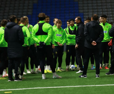 Вся надежда на искусственный газон?