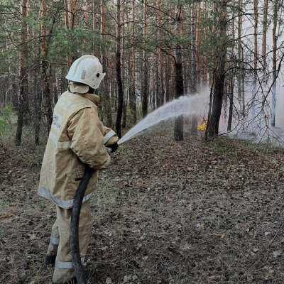 «Если кризис произошел, ответственных надо гнать метлой»