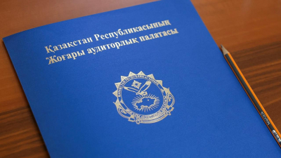 Внешний и внутренний госаудит: как работает система контроля