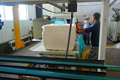 Посеяли хлопок, вырастили… кластер