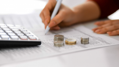 Массовой оптимизации нет - бизнес-омбудсмен раскритиковал запрет на вычеты СНР