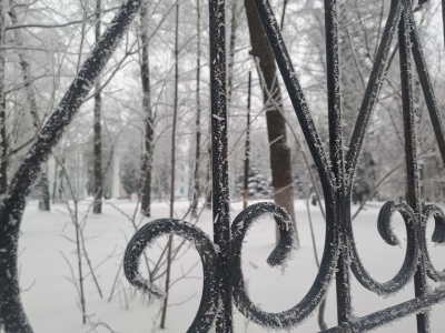 Кубай рассказал, когда в Приморье отступит аномальный холод