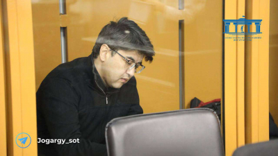 Бишимбаев высказал свою версию гибели супруги