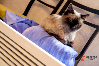 В Карабаше восстановили теплоснабжение в семи домах после масштабной аварии