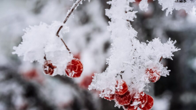 Опасные климатические качели: синоптики рассказали, чего ждать татарстанцам в ближайшие дни 02/02/2026 &ndash;