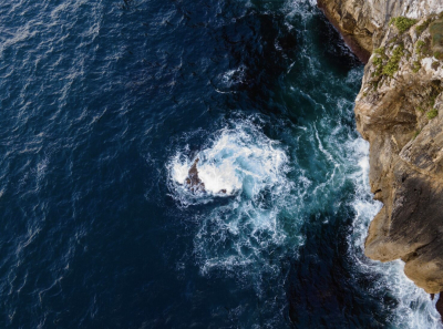 Гебрук: человеку известны лишь 10% обитателей мирового океана