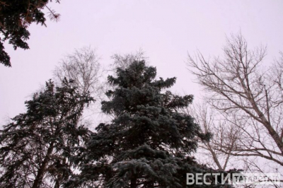 В Татарстане растет число погибших при пожарах