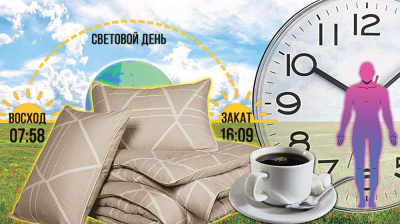 Солнце – дирижер жизни на Земле