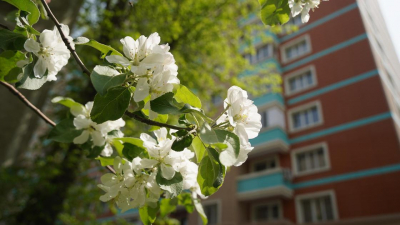 Дождь и до 24 градусов тепла ожидаются в мегаполисах Казахстана в пятницу