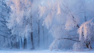 Погодная &laquo;шахматная доска&raquo;: где в РФ на следующей неделе будет экстремально холодно?