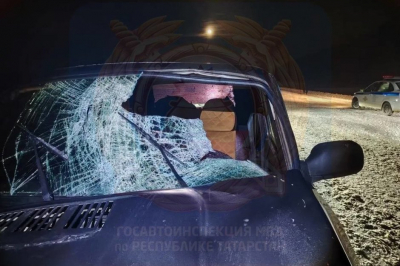Пешеход погиб под колесами автомобиля в Татарстане