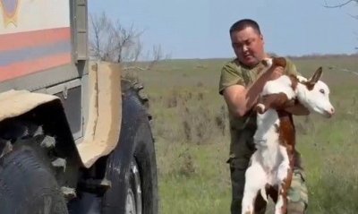 Спасатели помогают жителям Кызылкогинского района