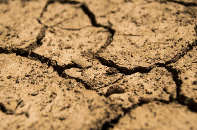 В ряде регионов Казахстана ожидается засуха в ближайшие дни