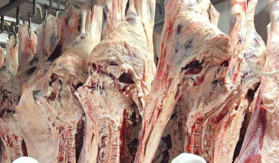 Можно ли есть мясо сайги: Комитет ветконтроля МСХ сделал заявление