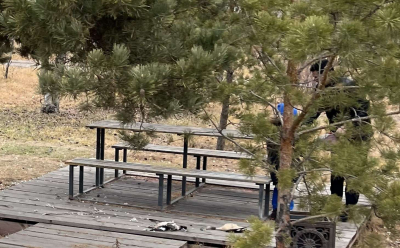 Мужчина потрошил диких уток в столичном парке