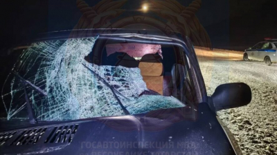 Шел навстречу смерти: легковушка насмерть снесла парня, идущего по трассе в РТ 02/02/2026 &ndash; Новости